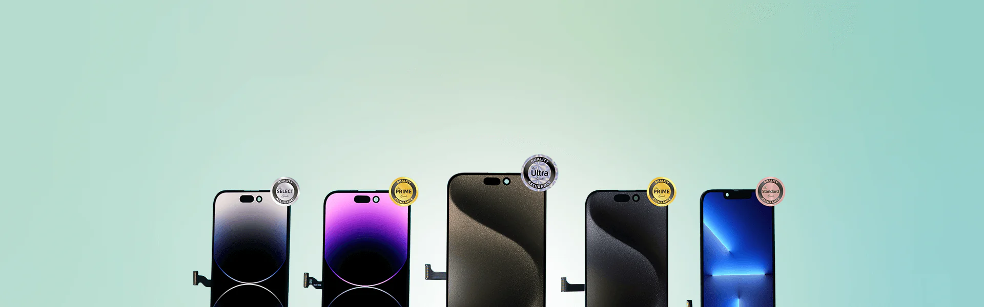 Phone screen production line and assembly process